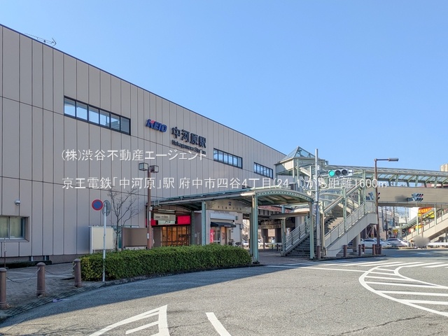 ӊ dSu͌vw1600m