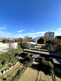 �Z�˂���̒��]�ʐ^ -