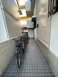 ���̑����p�� -