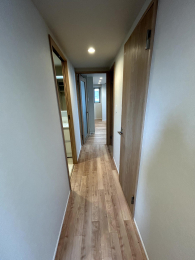 ���̑����� -