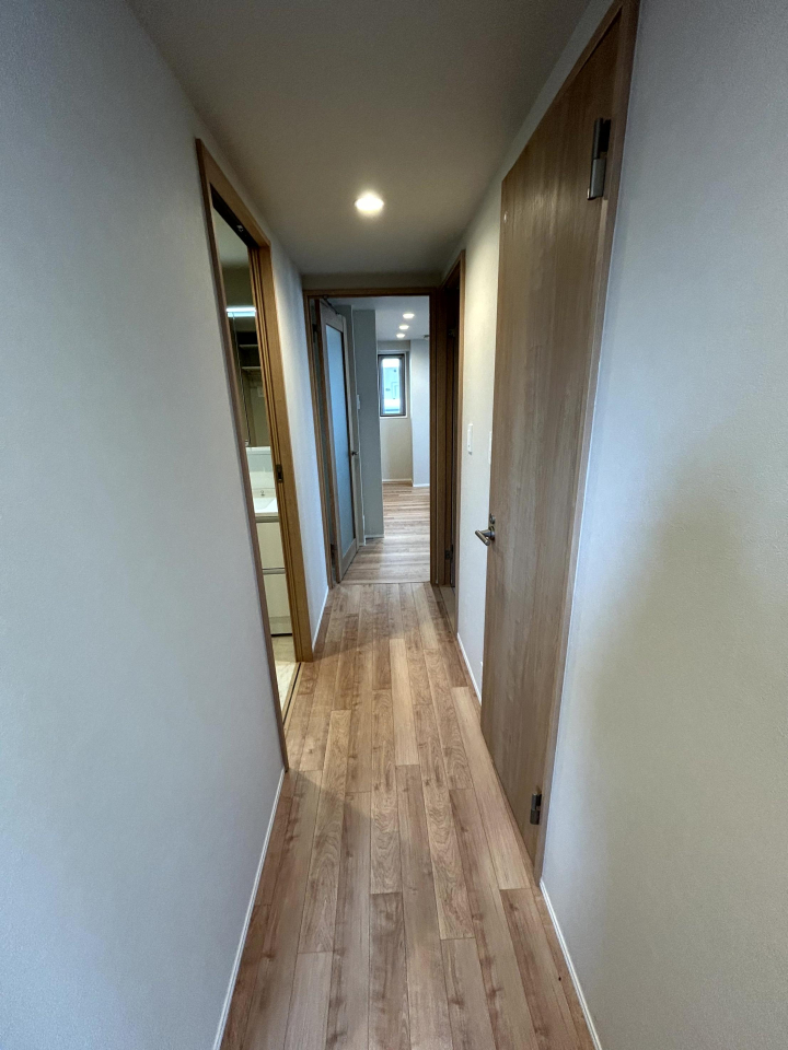 ���̑����� -