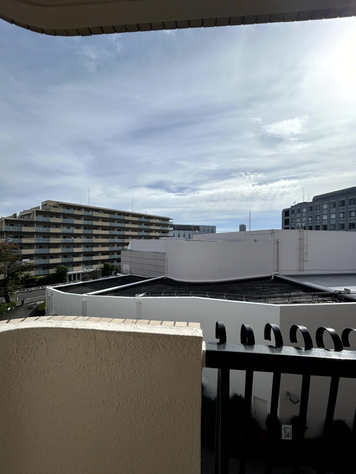 �Z�˂���̒��]�ʐ^ -