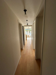 ���̑����� -