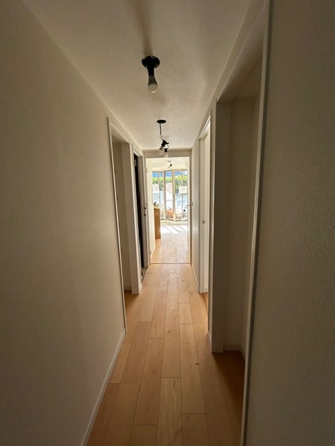 ���̑����� -