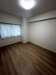 ���r���O�ȊO�̋��� -