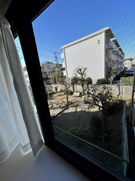 �Z�˂���̒��]�ʐ^ -