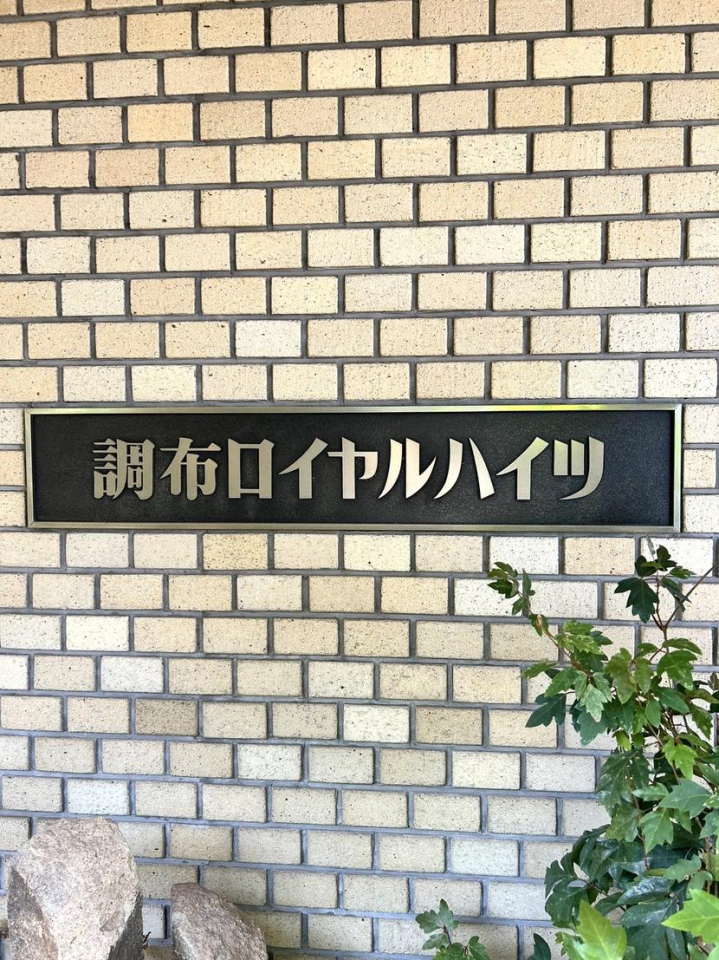 ���̑����p�� -