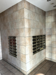 ���̑����p�� -