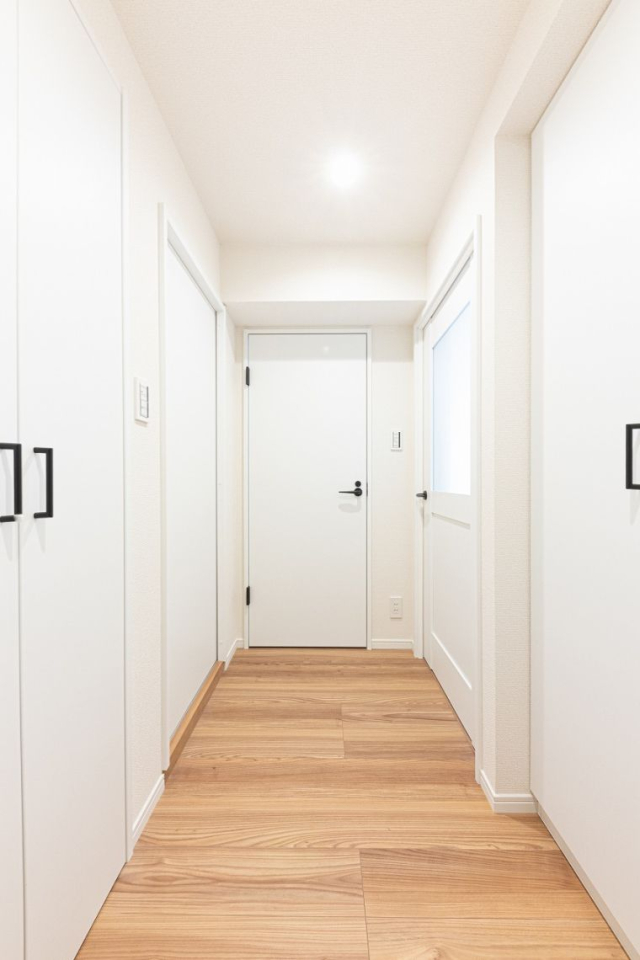 ���̑����� -