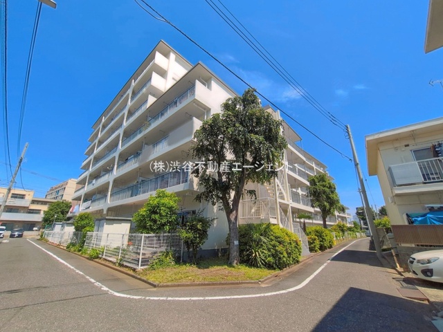 �����s���z�s���̒�1���ڂ̒��Ã}���V�����̉摜